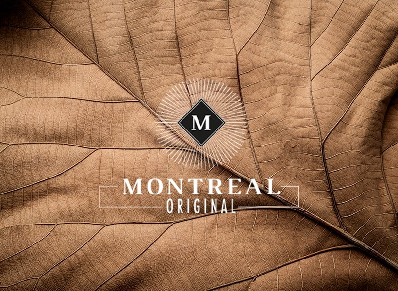 Montreal Original : à la découverte d'une success story 25 E-liquides Montreal Original pour arrêter de fumer