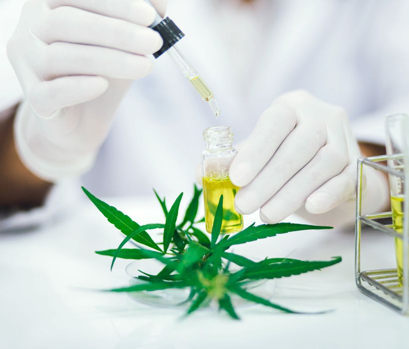 CBD : la peur en avion, c'est du passé ! 16 1 jpeg 8