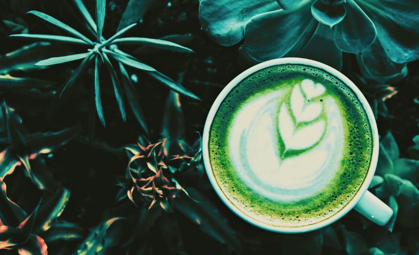 CBD : goûtez au bien-être avec les infusions BIO Rest in Tizz ! 22 2 jpeg 31