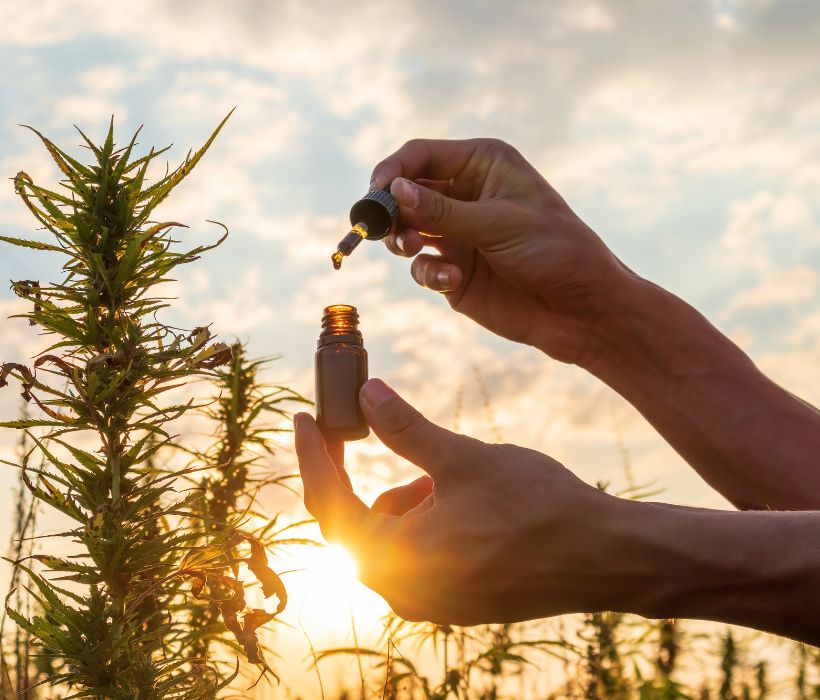 Puis-je voyager avec du CBD ? [Été 2022]