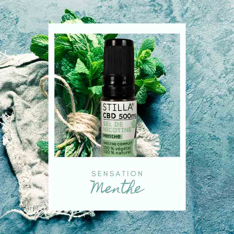 Nouveauté e-liquide : Stilla marie CBD & Sels de nicotine ! 37 E-liquide Stilla Menthe CBD 500mg Sels de nicotine
