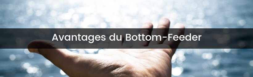 Se mettre au Bottom-Feeder en 2019 12 Avantages jpeg