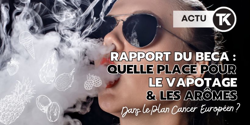 Interdiction des arômes, E-cigarettes : que recommande le rapport du BECA ? 8 Interdiction des arômes, E-cigarettes : que recommande le rapport du BECA ?