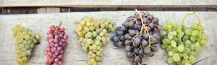 Coup de cœur DIY : les concentrés Medusa Juice Co® 25 Saveurs du Concentré Endless - Medusa Juice