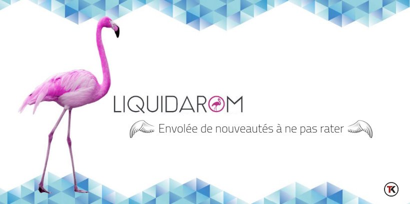 Liquid’Arom prévoit de vous donner des ailes cet été ! 13 Liquid’Arom donne des ailes avec Les Essentiels et Modjo Vapors !