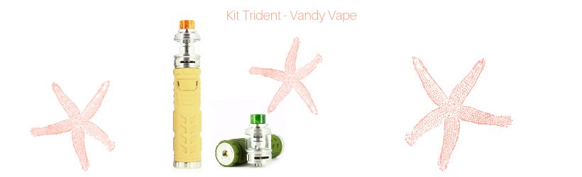 Le Guide du vapoteur en vacances - édition 2019 20 Kit Trident - Vandy Vape