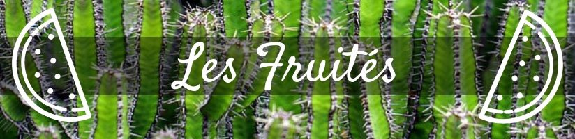 Les Awards des meilleurs e-liquides du Vapexpo Paris 2018 - Désormais en packs ! 35 Les fruites jpeg