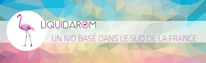 Liquid’Arom prévoit de vous donner des ailes cet été ! 14 Titre 1 jpeg 26