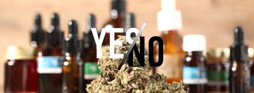 Interdiction de la vente de fleurs de CBD, depuis le 3 janvier 18 Titre 1 jpeg 7