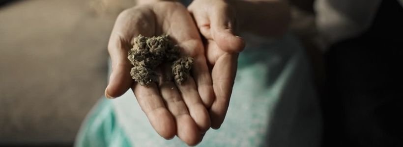 CBD et Tests Salivaires : Tout savoir en 10 points 18 Titre 2 jpeg 16
