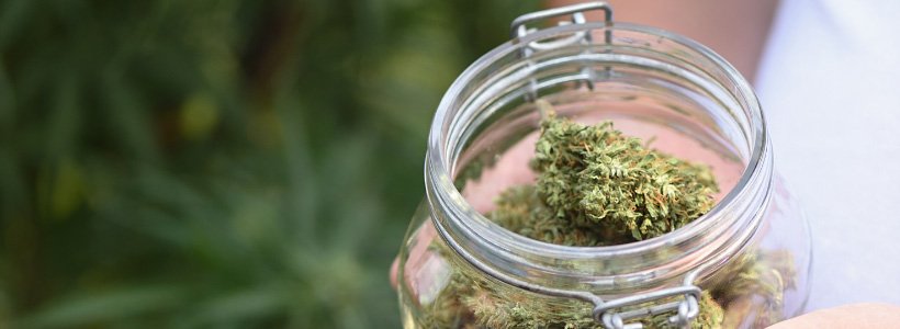 Interdiction de la vente de fleurs de CBD, depuis le 3 janvier 20 Titre 2 jpeg 7