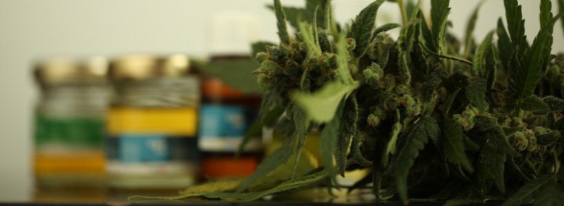 Interdiction de la vente de fleurs de CBD, depuis le 3 janvier 30 Titre 7 jpeg 3