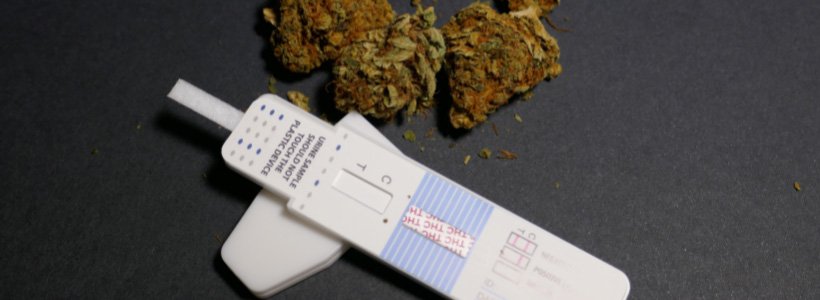 Interdiction de la vente de fleurs de CBD, depuis le 3 janvier 23 soustitre2 jpeg 3