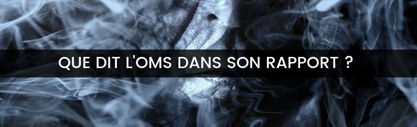 L'e-cigarette dite nocive par l’OMS : un rapport plus dangereux que la vape ? 13 titre1 jpeg 4