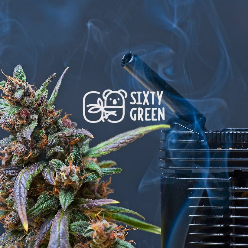 Comment arrêter le cannabis en 5 étapes ? #MoST 77 15OK