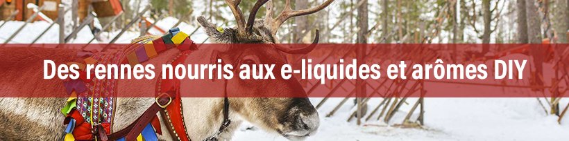 8 idées cadeaux pour mettre des nuages au pied du sapin 35 Des rennes nourris aux e-liquides et arômes DIY