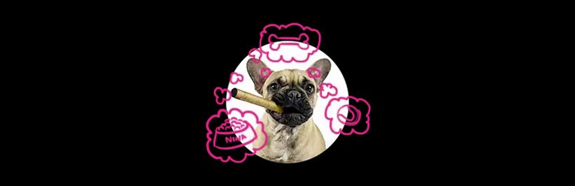 Le plaisir de la Vape Française avec D’LICE 15 Nina : la mascotte de la marque D'LICE