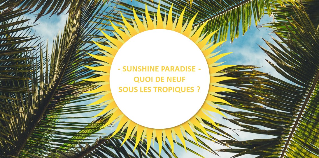 Sunshine Paradise : Let the sunshine in ! - Taklope blog