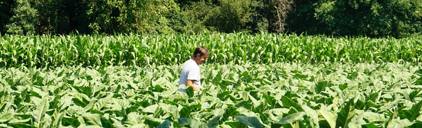 VDLV : l'histoire de l'exigence vapologique 35 ss vdlv agri
