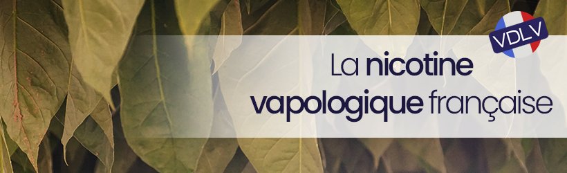 VDLV : l'histoire de l'exigence vapologique 33 ss vdlv nicovapo