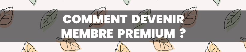 Les Ventes Privées Premium sont de retour ! 12 Comment devenir Premium ?