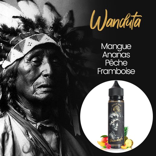 E-liquides Indian Vape : découverte et avis sur les stars du tipi ! 24 E-liquide Wanduta saveurs mangue, ananas, framboise et pêche