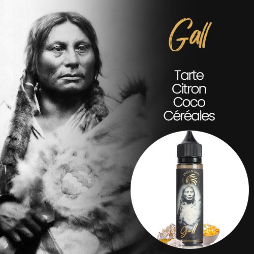 E-liquides Indian Vape : découverte et avis sur les stars du tipi ! 28 E-liquide Gall saveurs tarte au citron, coco et céréales