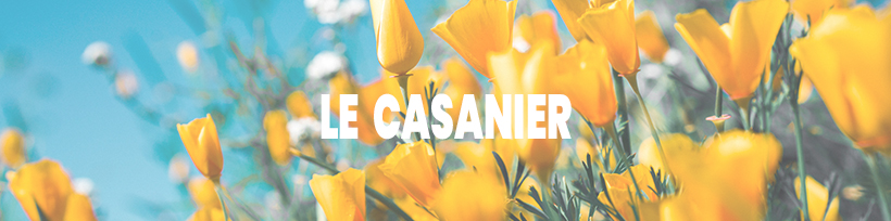 En vacances, partez bien équipé ! 26 Le casanier