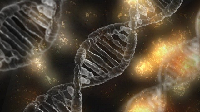 Retour sur l'étude : cigarette électronique et risques de cancer 3 dna 1903318 640