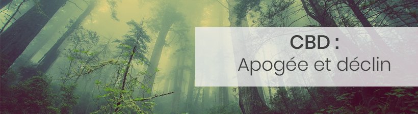 Rétrospective : ce que 2018 a donné à la vape 19 retro cbd1