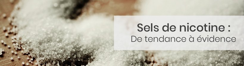 Rétrospective : ce que 2018 a donné à la vape 23 retro sel1