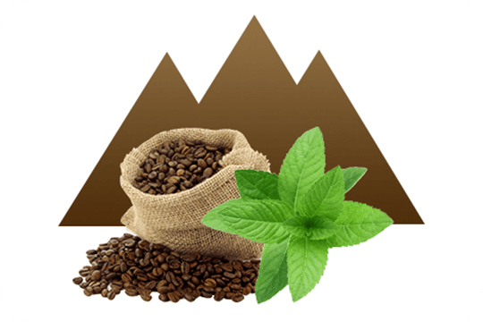 Comment choisir son e-liquide, quel liquide pour votre cigarette  électronique ?