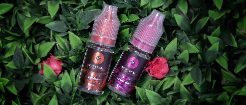 E-liquide Fruit du Dragon 10ml - Montreal Original